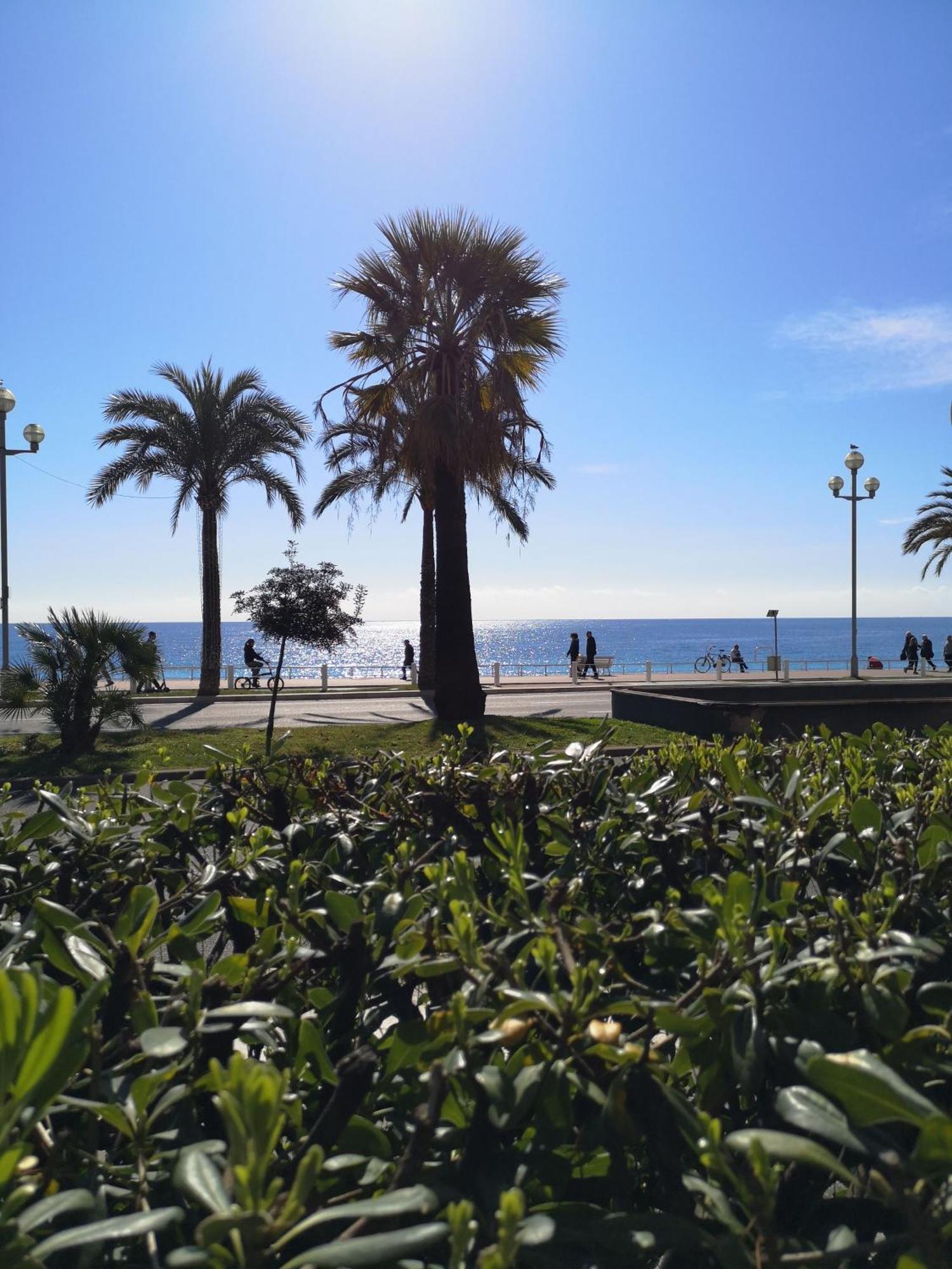 Garden Atlantide Promenade Leilighet Nice Eksteriør bilde