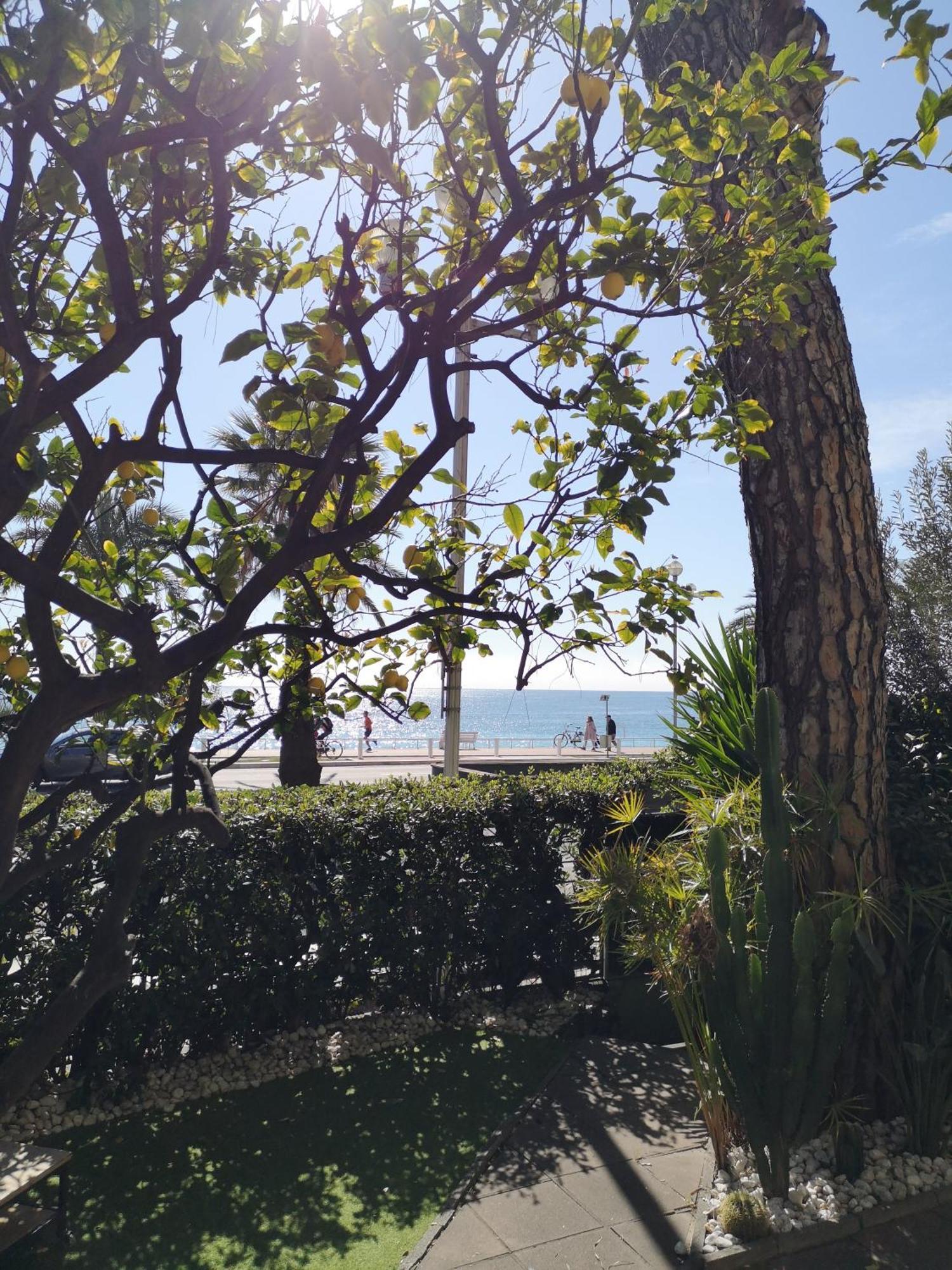 Garden Atlantide Promenade Leilighet Nice Eksteriør bilde