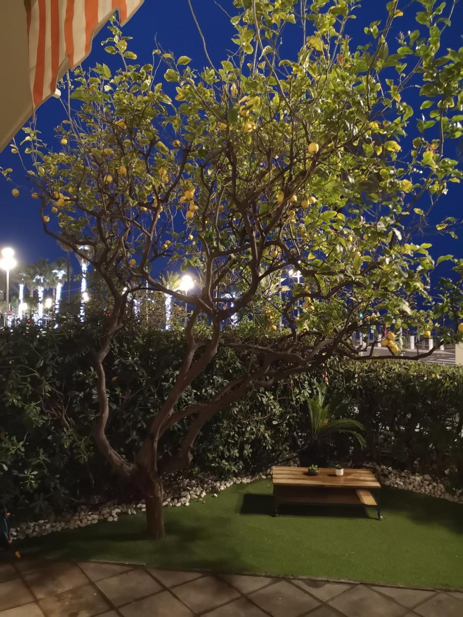 Garden Atlantide Promenade Leilighet Nice Eksteriør bilde