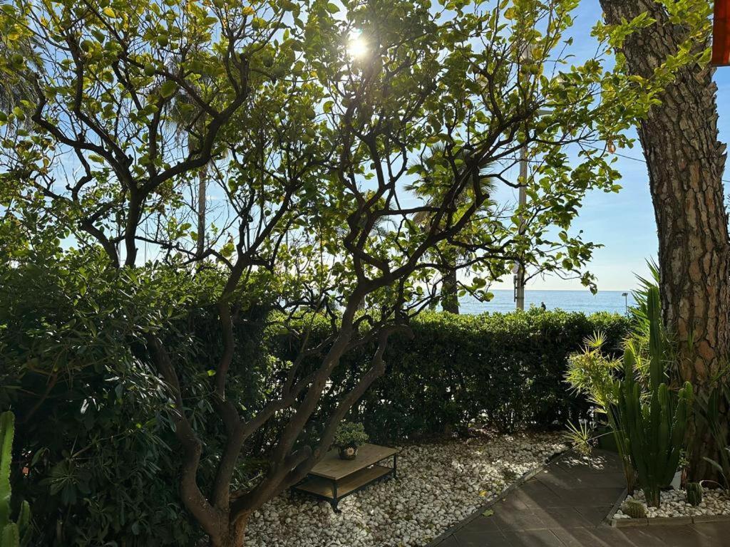 Garden Atlantide Promenade Leilighet Nice Eksteriør bilde