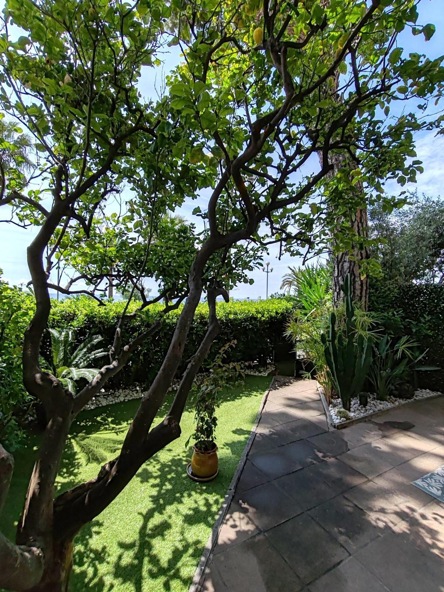 Garden Atlantide Promenade Leilighet Nice Eksteriør bilde